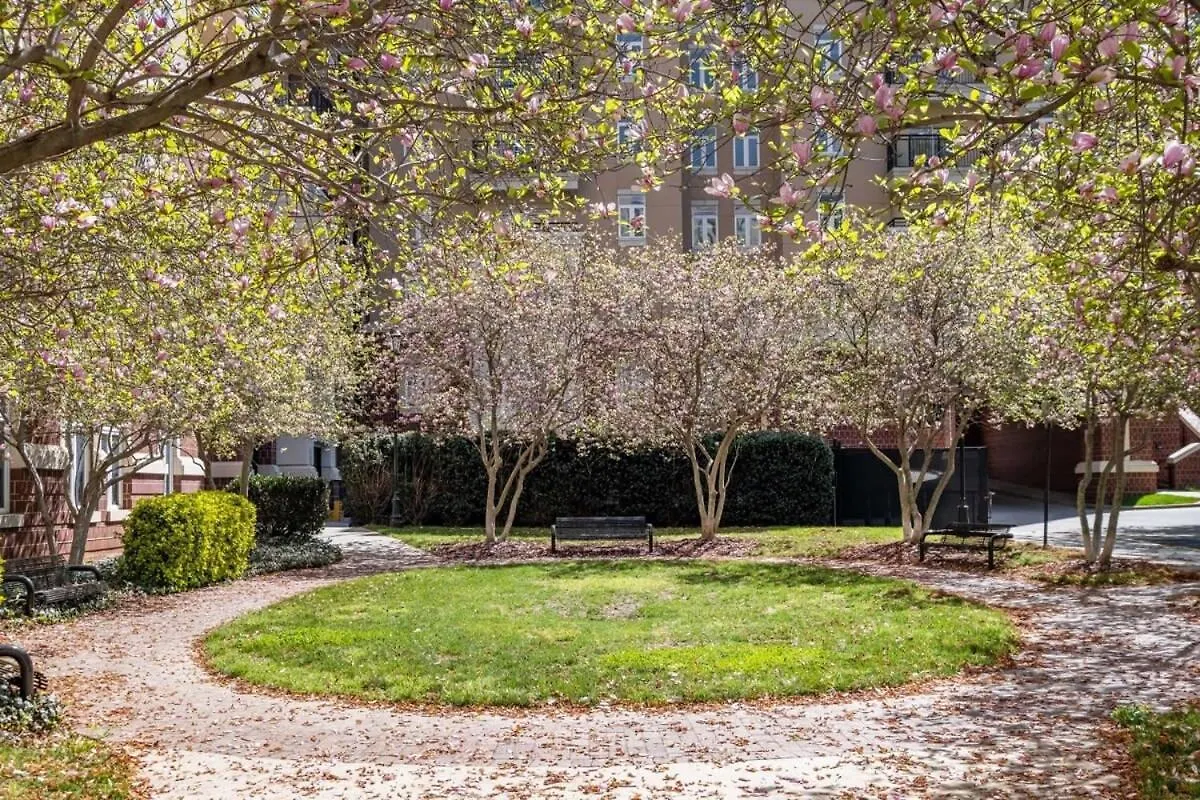 4B 3Ba Premium Family Apartment With Gym Charlotte
